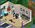 sims04